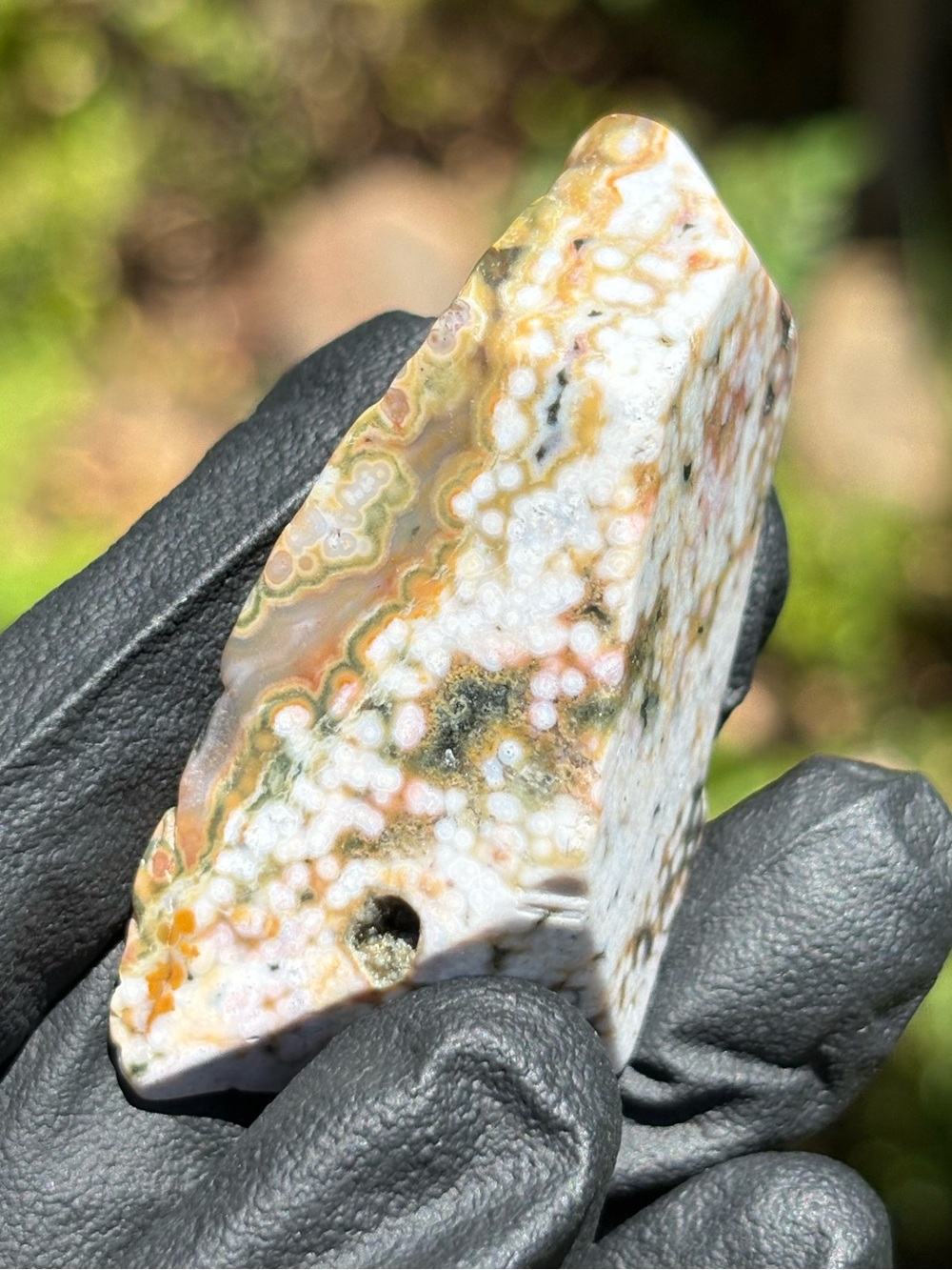 Ocean Jasper Crystal Freeform - Polished Sea Jasper - Orbicular Jasper